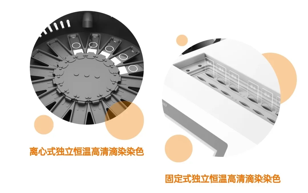 XKTY.COM星空·(中国有限公司)官方网站